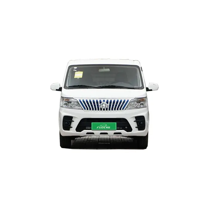 Langlebiger Ruixing Em60 2023 Version reiner Elektro-Minivan Schlussverkauf neues Energiefahrzeug Changan günstiger Elektroauto
