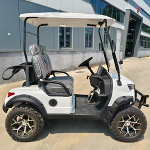 Carrito de Golf de 2 Plazas, Batería de Litio de 48V, Autonomía de 100 km, con Parasol, Faros LED, Altavoz, Certificado CE, Carrito de Golf de 4 Plazas - Product Image 4