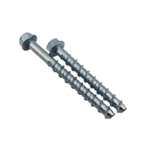 Nhà Sản Xuất Chuyên Nghiệp Sơn Mặt Bích Đầu Masonry Hex Tự Bê Tông Khai Thác Vít - Product Image 1