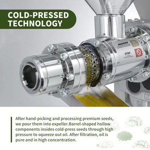<span class=keywords><strong>Olio</strong></span> di Semi di Broccoli Premium per la Pelle - 100% Puro e Naturale, <span class=keywords><strong>Olio</strong></span> Vettore Pressato a Freddo, Non-OGM, Grado Cosmetico |   OEM 500mL - Product Image 3