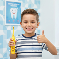 Support de Rangement pour Dentifrice et Brosse à Dents à Poils Souples pour Enfants – Personnalisation OEM/ODM du Logo, de l'Emballage et de la Couleur pour Marques à Marque Blanche