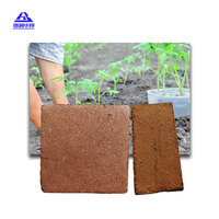 Substrat de coco en briques, terreau de coco pour plantes en pot, terreau de lit de culture PIN'S, pour la vente, mélange agricole, graines, semis, jardin