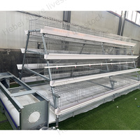 Cage à poules pondeuses de type 3/4 niveaux pour élevage avicole, équipée d'une ligne d'abreuvement automatique et d'un grattoir à fumier, avec cadre galvanisé à chaud