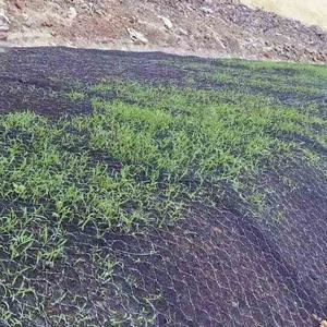 Coperta di protezione del suolo e dell'acqua geocomposito Geomat tridimensionale - Product Image 6