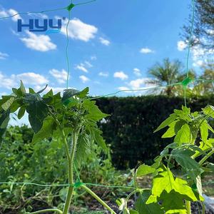 Yüksek kaliteli HDPE bitki destek ağı salatalık net yüksek mukavemetli yeşil renk plastik kafes net - Product Image 1