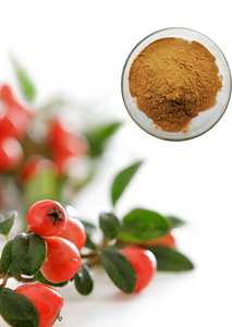 Rosa Canina tozu askorbik asit C vitamini kapsül ile kalça özü gül - Product Image 2