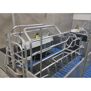 Equipo Perfecto para la Cría de Cerdos, Nueva Marca HENGYIN, Certificado CE ISO 9001, Acero Galvanizado por Inmersión en Caliente Anticorrosivo, Paridera para Cerdos - Product Image 4