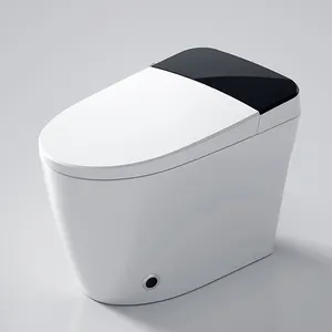 Asya Guangdong banyo ekipmanları ucuz ev Wc akıllı sıhhi tesisat komodin tuvalet