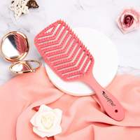 Brosse à cheveux évidée pratique pour démêler et masser, idéale pour coiffure sur cheveux secs ou mouillés
