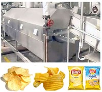 Nouvelle ligne automatique de fabrication de frites surgelées, machine à chips de pommes de terre fraîches, acier inoxydable 304, 250 kg/h, haute efficacité