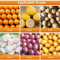 Blauwe bes sorteermachine, tomaten fruit sorteermachine, sinaasappel was- en sorteermachine te koop