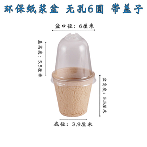 <span class=keywords><strong>Pot</strong></span> de semis de plantes biodégradable pots de pépinière carrés arrondis réutilisables avec ou sans drainage avec couvercle transparent en plastique - Product Image 4