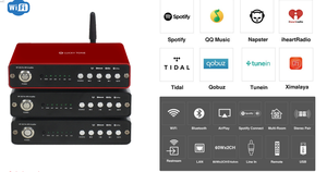 T Professional Stereo 2 canaux 2*60W Blue-tooth Audio WiFi Amplificateur avec HDMI Arc/Fiber Optic/Spotif y/Airplay - Product Image 6