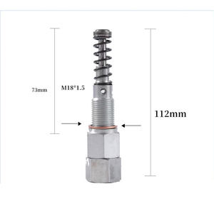 Vite di applicazione elemento pompa in metallo nucleo pistone stantuffo con parti di molla alimentazione Diesel lavorazione del carburante industria automobilistica - Product Image 5