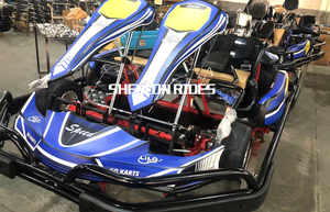 Go Kart/<span class=keywords><strong>Karting</strong></span> Eléctrico <span class=keywords><strong>de</strong></span> Carreras para Adultos/Niños, <span class=keywords><strong>Precio</strong></span> Económico <span class=keywords><strong>de</strong></span> Fábrica, Buena Calidad - Product Image 6