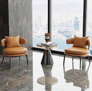 Fauteuil de réception et canapé de salon de beauté et spa médical italien de luxe léger, table et chaises pour salon et balcon - Product Image 1