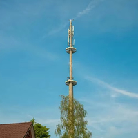 Fabricant de tours de télécommunications monopôles en acier de 40 m pour l'installation de réseaux cellulaires en extérieur