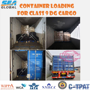 Agente de Transporte de Mercadorias Perigosas para a Alemanha, Transitário, Transporte de Contêineres, Serviços de Logística de Baterias, Ex-works FOB DDP - Product Image 2