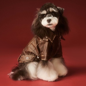 Vintage Style PU Leather Dog Jacket <b>Cool</b> Biker Pet Coat with Zipper for Small Medium Dogs - Product Image 5