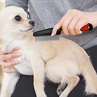 Peigne anti-puces pour animaux de compagnie avec poignée en caoutchouc, peignes anti-puces et anti-tiques pour chats, brosse pour animaux de compagnie, éliminateur de poils de chien, peigne à dents fines pour toilettage des chiens