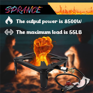 Fornello a <span class=keywords><strong>Gas</strong></span> portatile da esterno per campeggio piccoli fornelli a <span class=keywords><strong>Gas</strong></span> con regolatore 20PSI e tubo del <span class=keywords><strong>Gas</strong></span> - Product Image 6