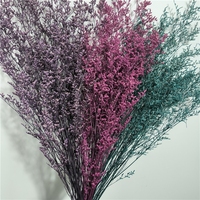 LUYI-Gedroogde Natuurlijke Bloemen Groothandel Caspia Misty Limonium Gedroogde Limonium Bloemen Gras Gedroogde Bloemen