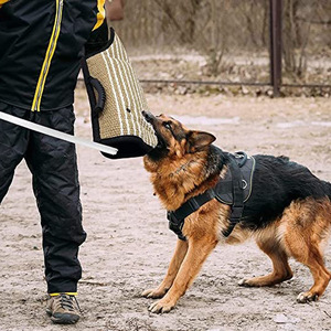 Protector <span class=keywords><strong>de</strong></span> Brazo <span class=keywords><strong>de</strong></span> Yute Resistente para Entrenamiento Profesional <span class=keywords><strong>de</strong></span> Perros, Protector <span class=keywords><strong>de</strong></span> Brazo para Entrenamiento Canino - Product Image 2
