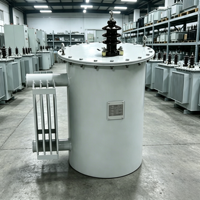 Transformateur monophasé immergé dans l'huile, à bobine toroïdale, de type colonne, haute efficacité 0.98, D11 100KVA, entrée 10KV