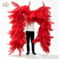 Grande guirlande de plumes d'autruche personnalisée, rouge, pour ailes d'ange, décoration de scène de carnaval