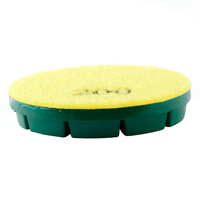 Tampon de polissage en céramique de 3 pouces pour une utilisation sèche ou humide Support OEM personnalisable