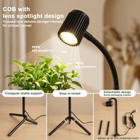 Support de plante de table Planter Mate en acier inoxydable avec éclairage COB spectre complet 3500K/4000K 5W, hauteur réglable, minuteur intégré, OEM ODM