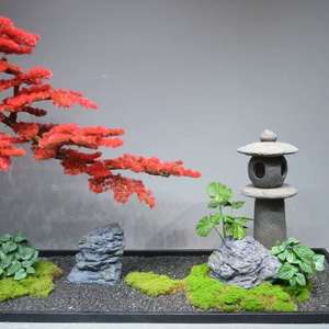 การออกแบบภูมิทัศน์ต้นสนเทียม, ต้นไซเปรสหน้าผาสีแดงขนาดใหญ่ต้อนรับแขก สำนักงาน <span class=keywords><strong>โรงแรม</strong></span> การออกแบบภูมิทัศน์หน้าต่าง - Product Image 5