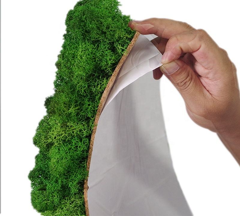 Muschio Conservato Naturale 200g - Decorazione Parete Bianco, Senza Manutenzione - Foto 5