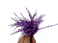 Plume de coq de selle blanche à rayures colorées naturelles pour la pêche à la mouche, la chapellerie, les fêtes en gros, le carnaval, le bricolage, les accessoires de coiffure