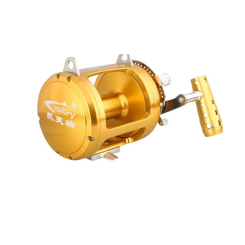 Factory Making Deep Sea Saltwater Carp Bass 20w 30w 50w 80w 2speed Big Game Boat Fishing Reels