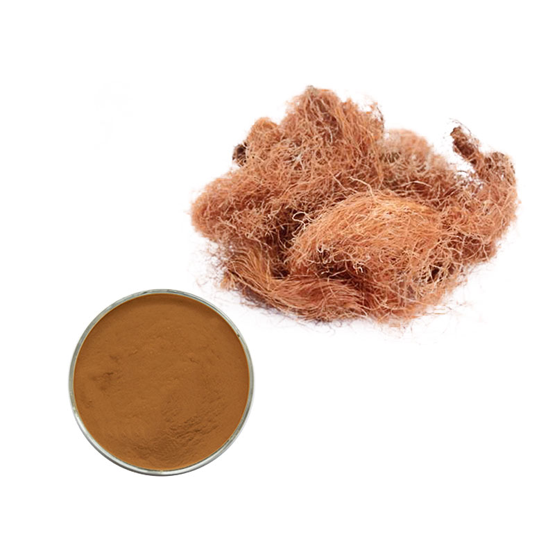 Corn Silk Extract Flour Wheat 