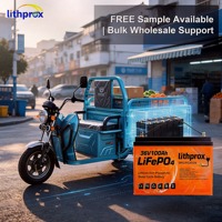 Batería Plegable para Silla de Ruedas de Grado Automotriz LiFePO4 36V100AH, Reemplazo de Alta Capacidad para Baterías de Plomo-Ácido para Scooter de Movilidad, CE FCC
