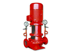 Pompe à eau centrifuge verticale à aspiration simple pour la lutte contre les incendies - Product Image 2