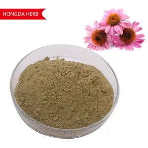 Hongda Factory Supply Reines Bio-Echinacea-Extrakt pulver 4% Polyp henol Echinacea Purpurea-Extrakt