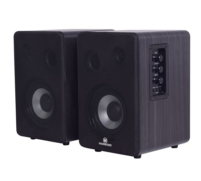 2023 Brand New Design Multiple Function Studio Bookshelf Speaker With BT, USB &EQ
