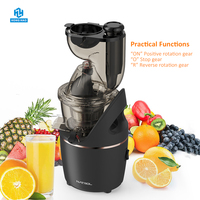 Elektrische multifunctionele stille motor slowjuicer voor het hele fruit, koudpersen, met roestvrijstalen zeef voor huishoudelijk gebruik