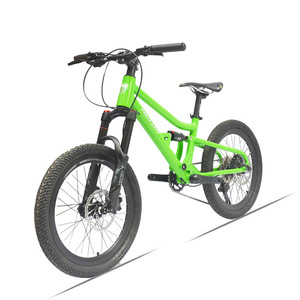 Vélo de montagne pour enfants Hulda 20 pouces en alliage d'aluminium à double suspension 10 vitesses Vélo de cross-country - Product Image 3