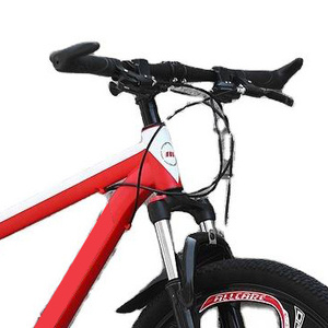 Bicicleta de Montaña de Descenso para Adultos de Fibra de Carbono, Venta al Por Mayor, con Frenos de Disco, Cuadro Completamente Amortiguado, Una Velocidad, Estilo Deportivo DZ-01 H - Product Image 5