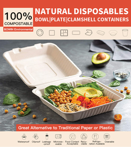 Disposable Food Container Eco Friendly Biodegradable Lunch <strong>Box</strong> Disposable Plates Bowls and Dinnerware <strong>Set</strong> Manufacturer - Product Image 4
