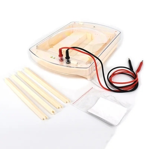 جهاز CHINCAN DYCP-38C للتحليل الكهربائي الجلوي الأفقي للورق والشرائح - Product Image 4