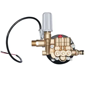 High Pressure Washer Electric Car Washer Pump Pressure Washer Pump Triplex