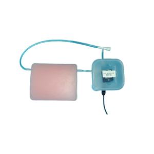 Modelo de Punción Vascular para Ciencias Médicas, Modelo de Punción Vascular Guiada por Ultrasonido para Enseñanza y Entrenamiento - Product Image 1