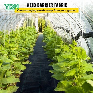 <span class=keywords><strong>Rouleau</strong></span> <span class=keywords><strong>de</strong></span> tissu anti-herbe professionnel pour couverture du sol agricole avec couleur et taille personnalisées - Product Image 6