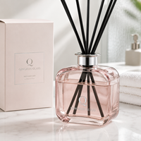 Bouteilles diffuseuses de parfum en verre carrées plates classiques et colorées de 250 ml, réutilisables, avec bouchon argenté et bâtonnets diffuseurs, boîte personnalisée