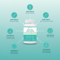 Complément de collagène personnalisé OEM pour soutenir l'immunité et l'énergie, la peau, les cheveux et les ongles, capsules de collagène bovin hydrolysé de qualité alimentaire